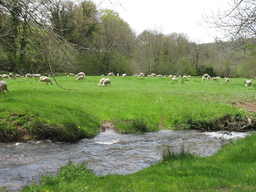 Le Moulin Du Barthas Bed and Breakfast Montredon-Labessonnié Esterno foto